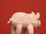 Piggy